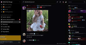 Screenshot 2025-10-04 170326.png